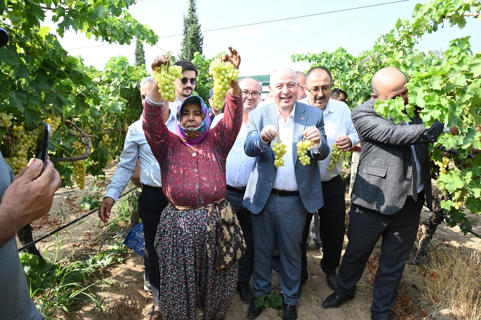 Denizli’de Üzüm Hasadı Başladı: Denizli Türkiye’de 4. Sırada