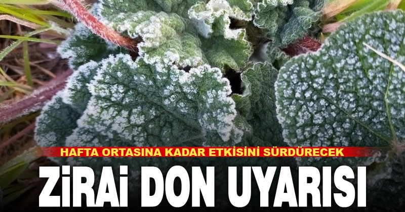 Denizli’ye zirai don uyarısı – denizlihaber.com