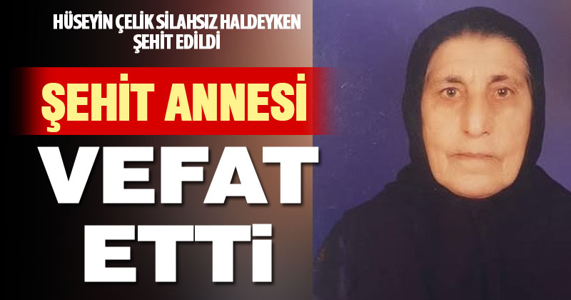 Bingöl şehidinin annesi hayatını kaybetti – denizlihaber.com