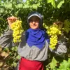 Buldan’da Süperior Üzüm Hasadı Başladı