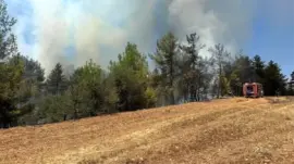 Denizli’de Yangın Kısa Sürede Kontrol Altına Alındı