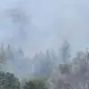 Denizli’de Orman Yangını Söndürüldü