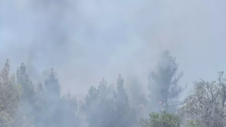 Denizli’de Orman Yangını Söndürüldü